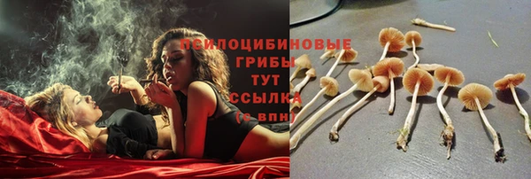 ешки Ладушкин