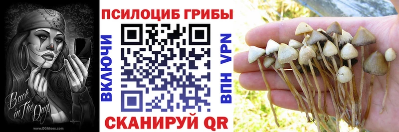Галлюциногенные грибы GOLDEN TEACHER  Купить закладки  Шахунья 