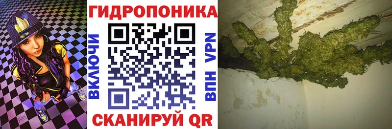 Бошки Шишки Bruce Banner  Купить закладки  Шахунья 